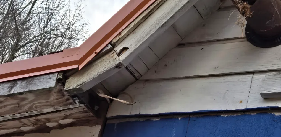 restore damage repair tullahoma tn